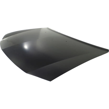 Hood for Dodge Charger (2006–2010)
