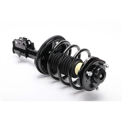 Strut Set of 2