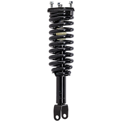 Set of 2 Fully Loaded Struts