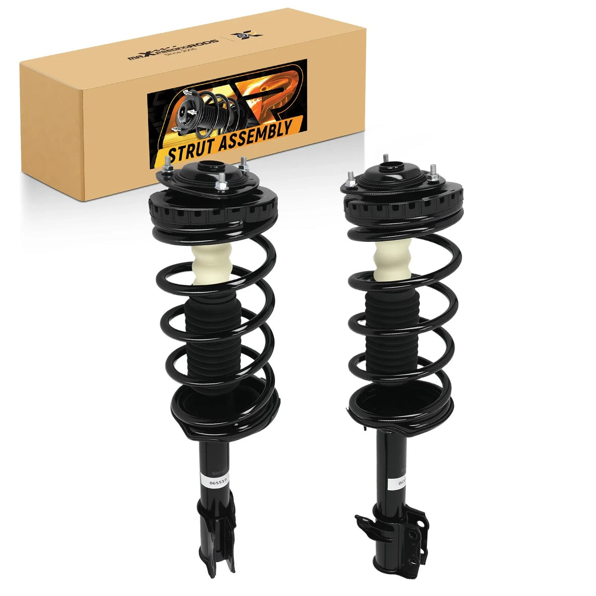 Rear Complete Struts & Coil Spring for Subaru Forester (1998–2002)