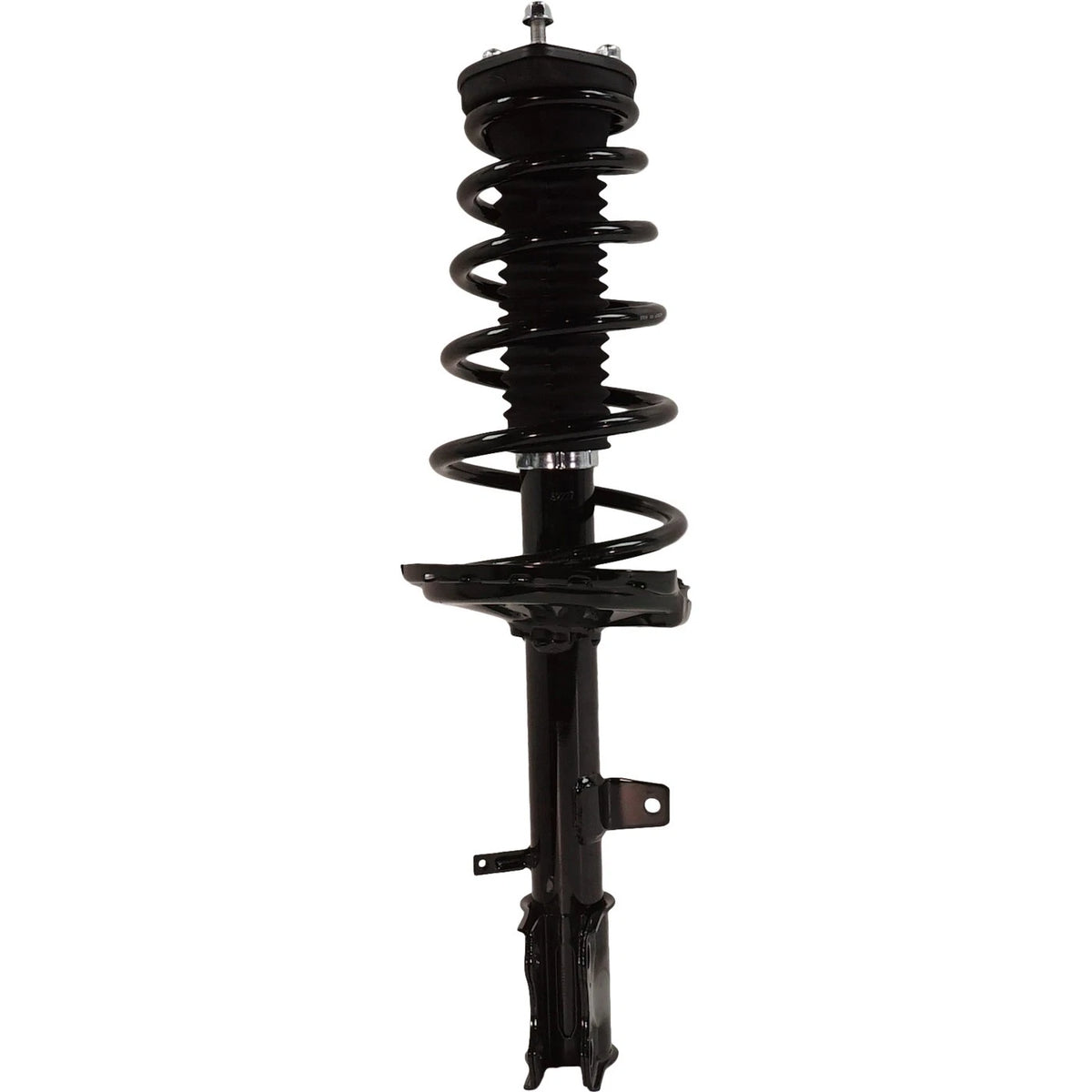 Strut Set of 2 for - Rear Left & Right Pair