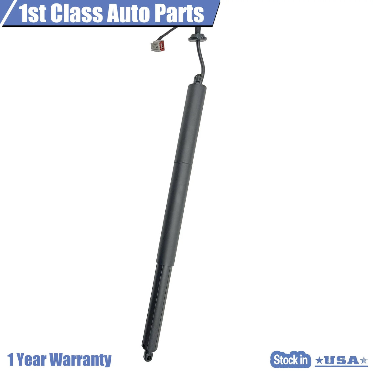 Power Hatch Lift Supports for Ford Explorer (2016–2019)