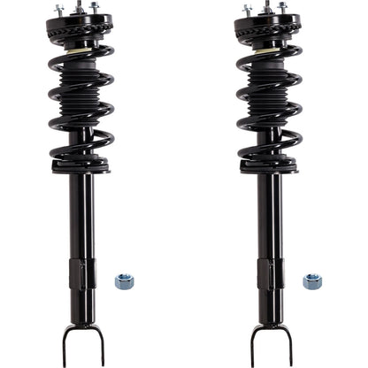 Pair Fully Loaded Strut Set