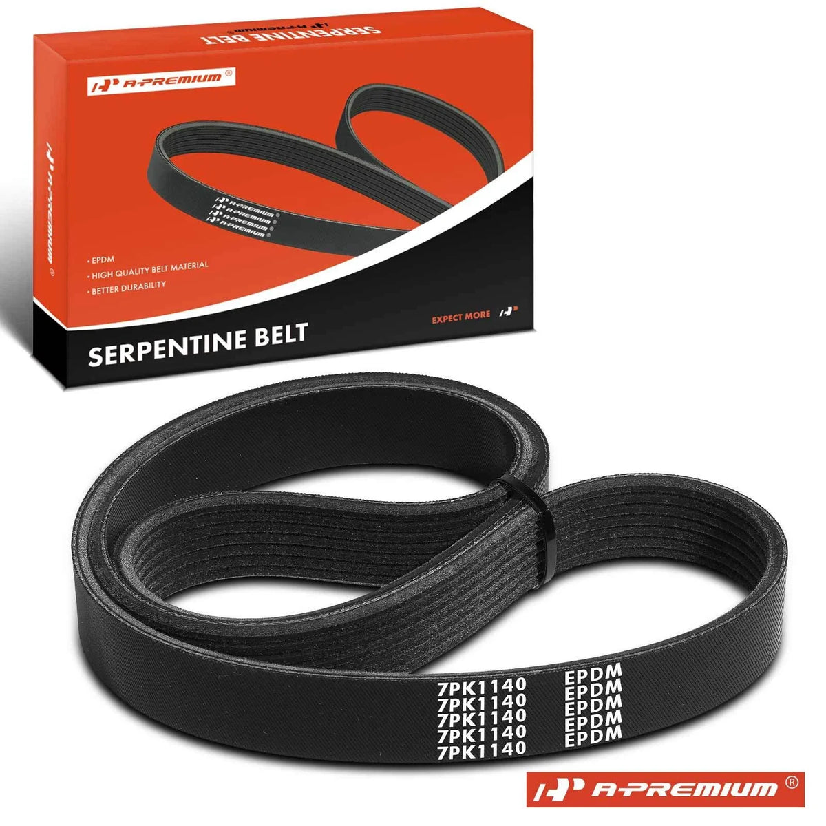Serpentine Belt for Nissan Versa (2009–2011)