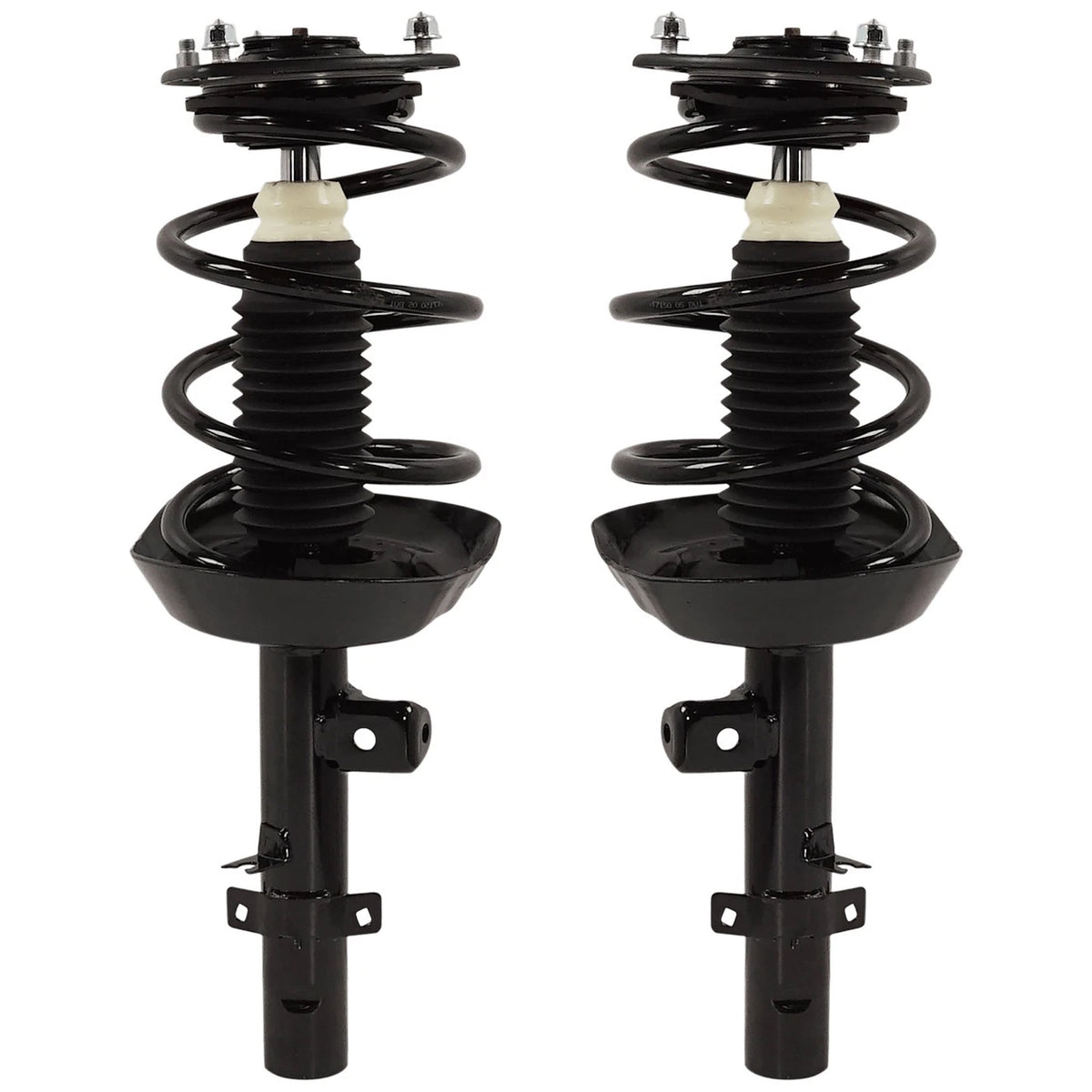 Pair of Fully Loaded Struts