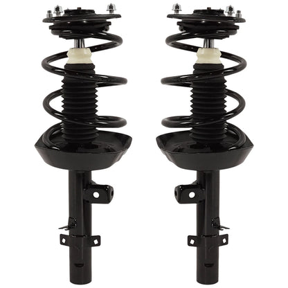 Pair of Fully Loaded Struts