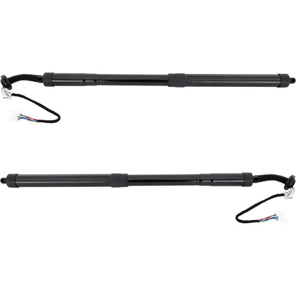 Liftgate Lift Supports Set of 2 for Driver & Passenger Side (2010–2015)