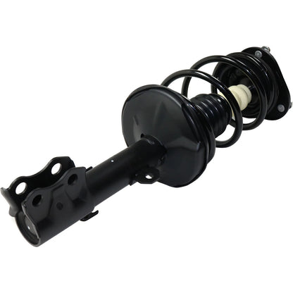Set of 2 Loaded Struts