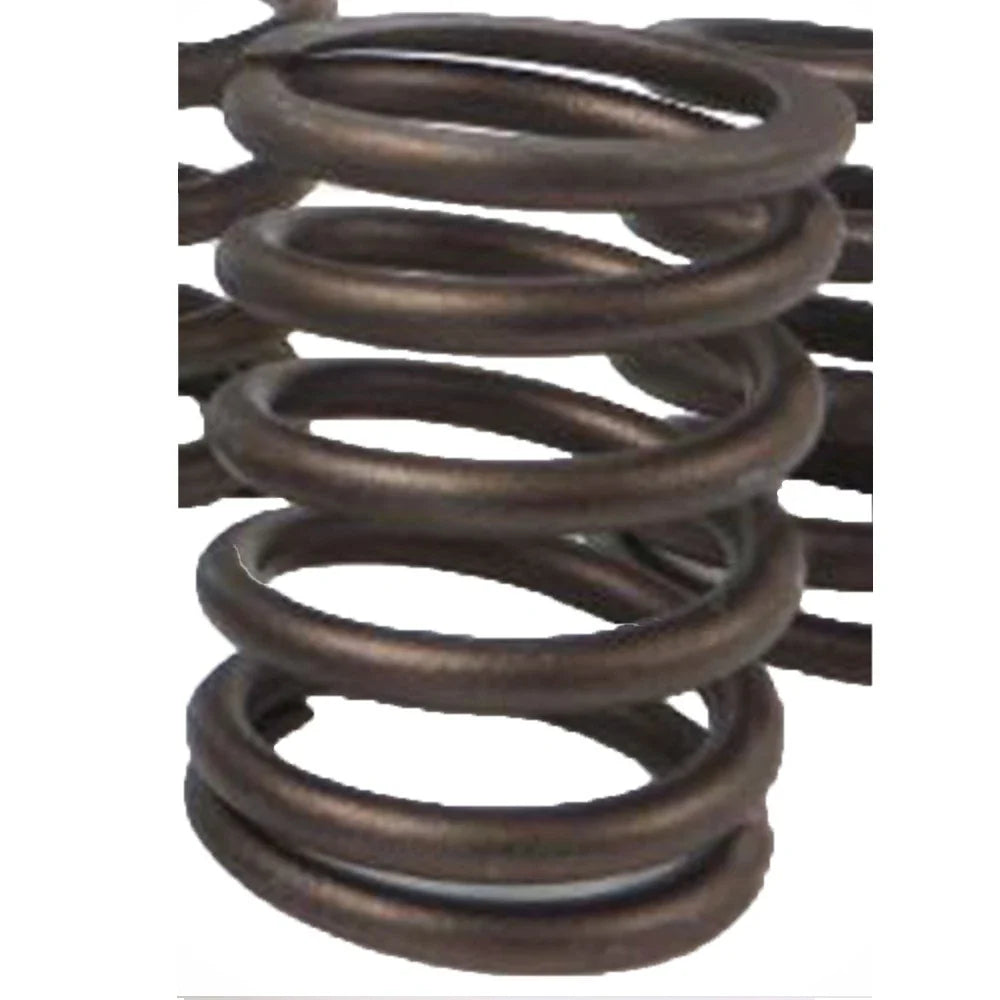 Inner Valve Spring for Caterpillar Industrial Construction (1906115)