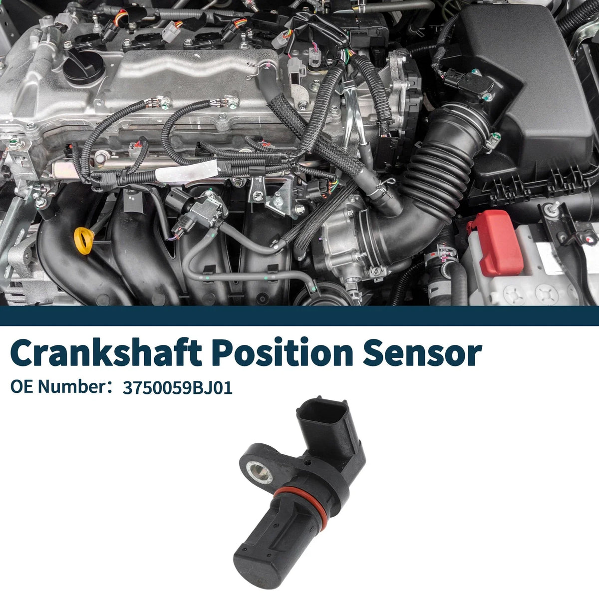 Crankshaft Position Sensor for Honda Civic 1.5 (2016–2024) No. 3750059BJ01