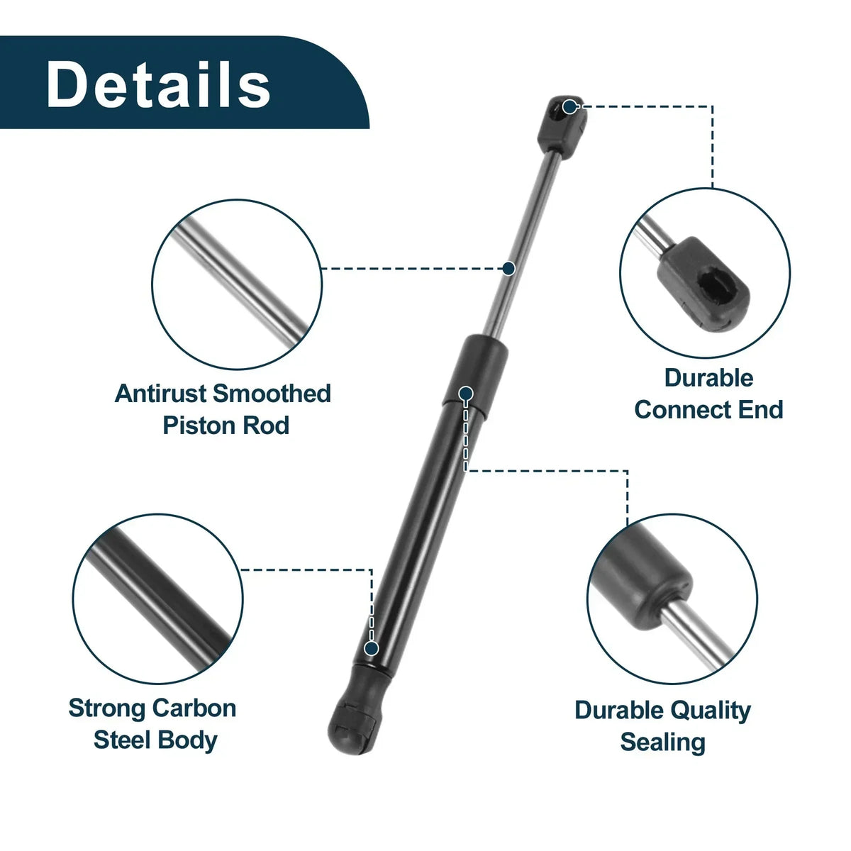 Upgrade Tailgate Lift Struts for 2008-2021 Dodge Challenger