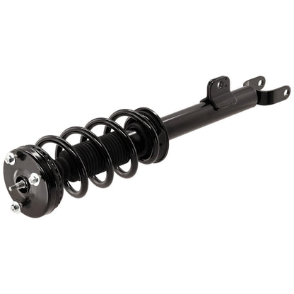 Strut Set of 2 for