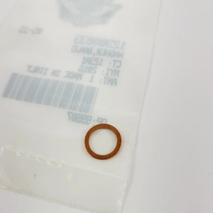 Banjo Washer (12300033) for Harley-Davidson Models