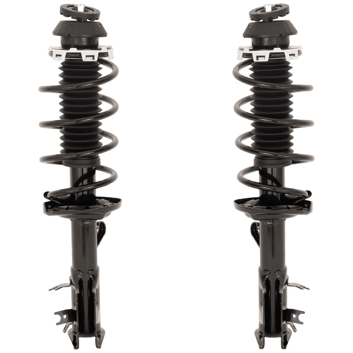 Pair Fully Loaded Strut Set