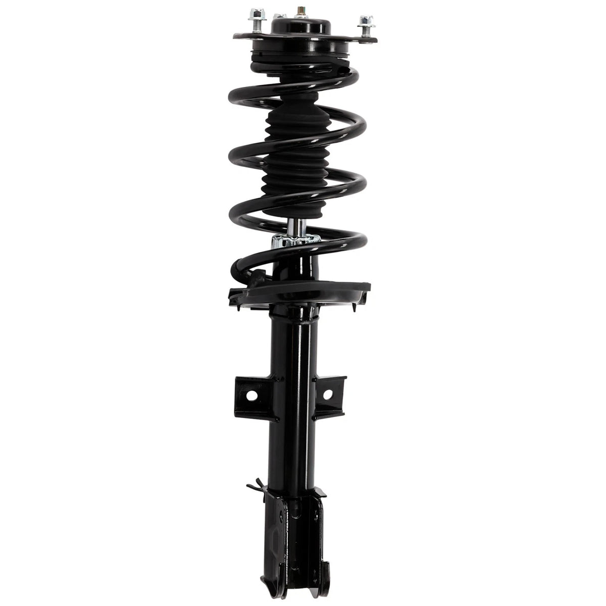 Strut Set of 2 for