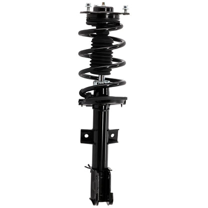 Strut Set of 2 for