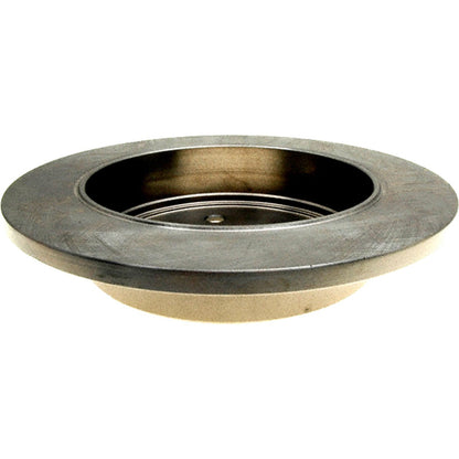 Brake Discs (Rear) for Ford Explorer and Ranger