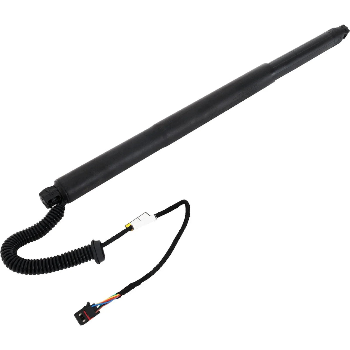 Lift Supports - Set of 2 for VW Liftgate