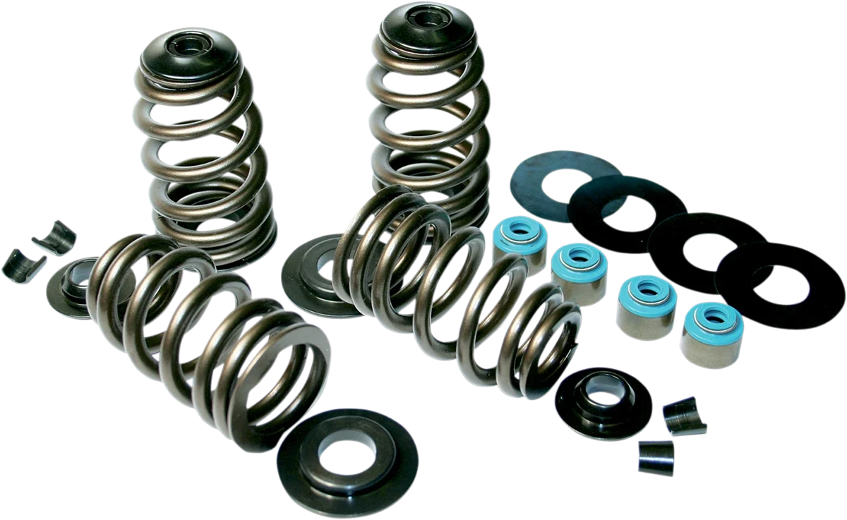 Valve Spring Kit for Harley-Davidson Twin Cam (2000–2017) - Econo Beehive