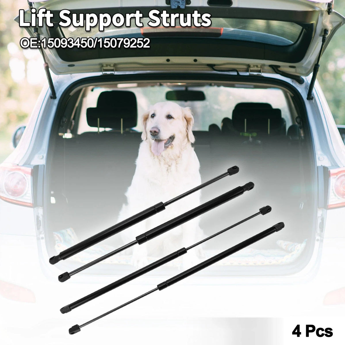 Rear Window Glass & Lift Supports Struts for Buick Rainier (2004–2007)
