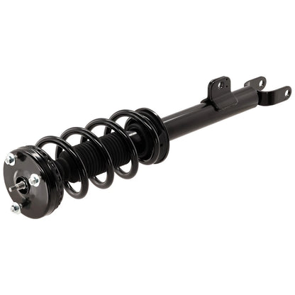 Strut Set of 2 for
