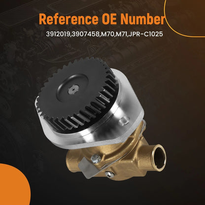 Bronze Water Pump for Cummins 4B/6B Engine (M71, 3907458) Marine Direct Fit
