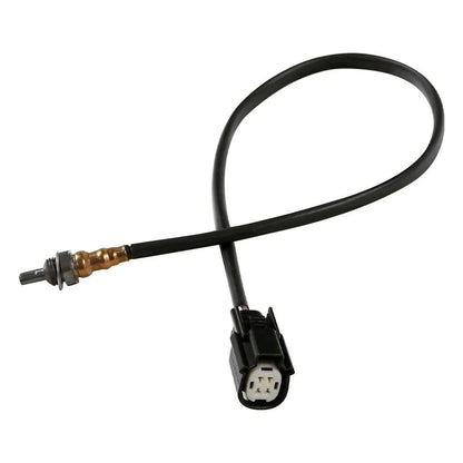 Oxygen Sensor for Sportster 883/1200 Harley (2014–2018)