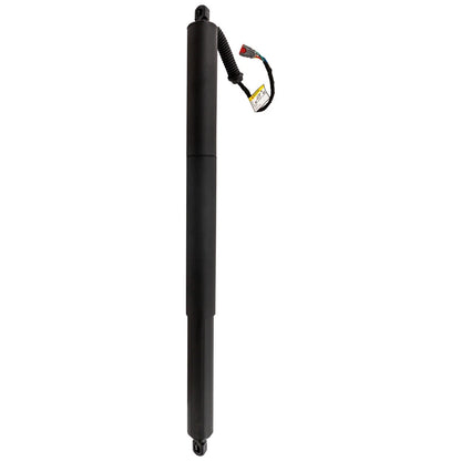 Set of 2 Liftgate Lift Supports for - Left Right Pair