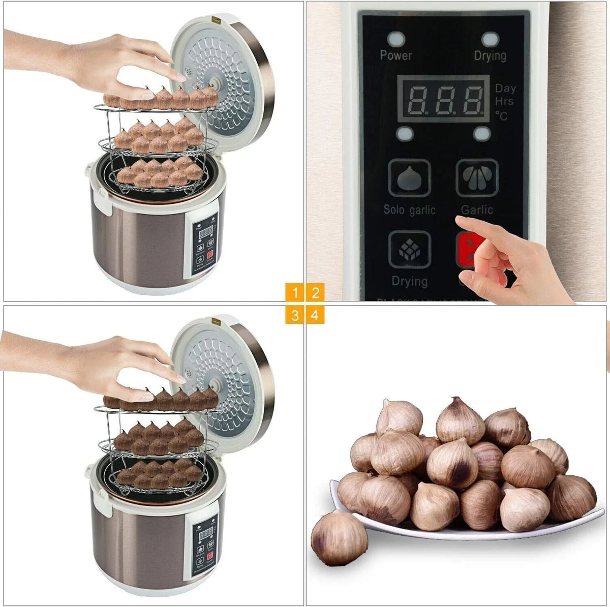 90W Fermenter for Black Garlic with Automatic Temp Control