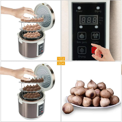 90W Fermenter for Black Garlic with Automatic Temp Control