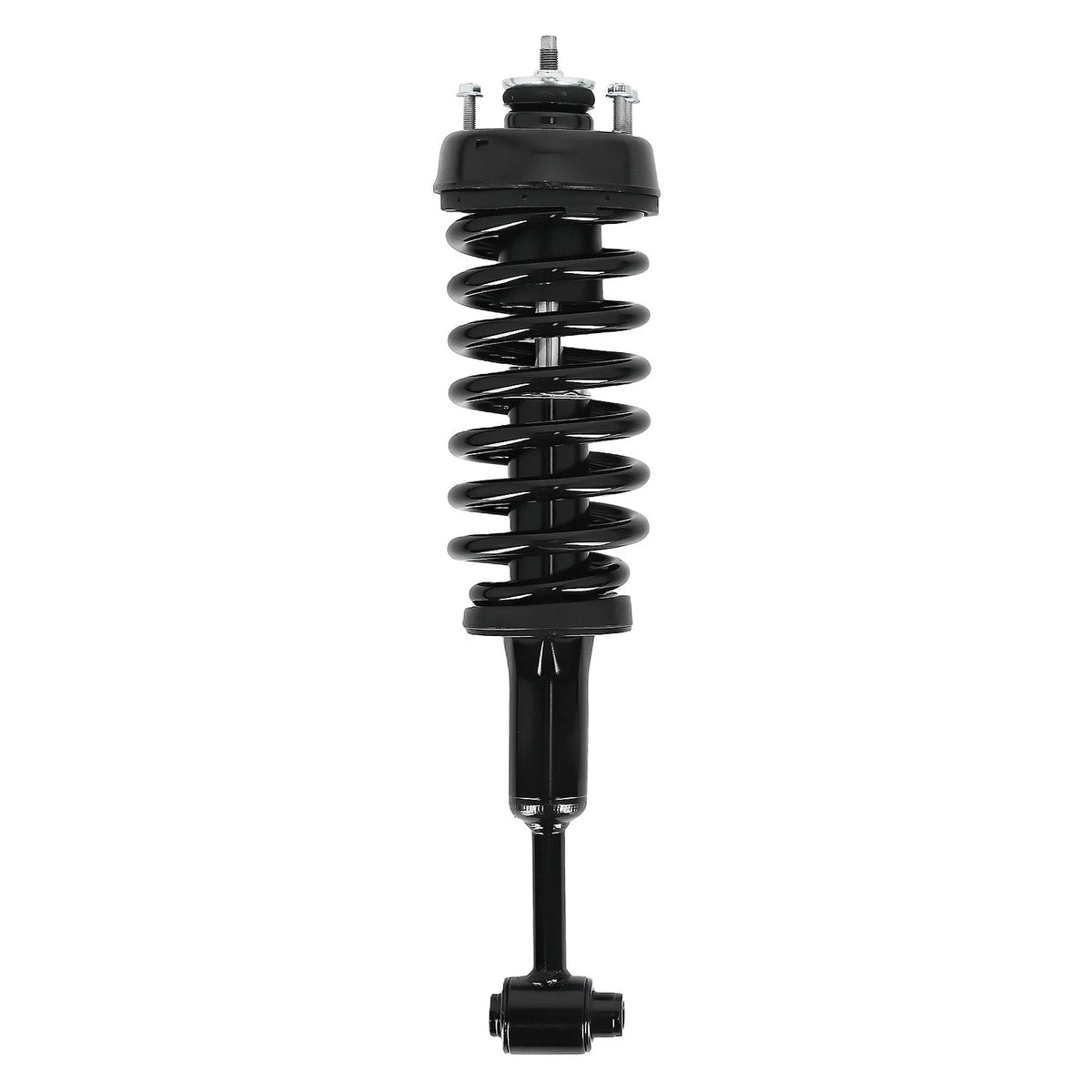 Front Strut and Coil Spring Kit for Mercury Mountaineer (2002-2003)