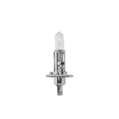 Hella H1P50 Multi-Purpose Light Bulb for Various Applications