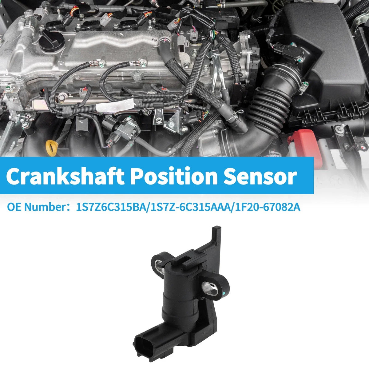Crankshaft Position Sensor for Ford Escape (2005–2008) 1S7Z6C315BA