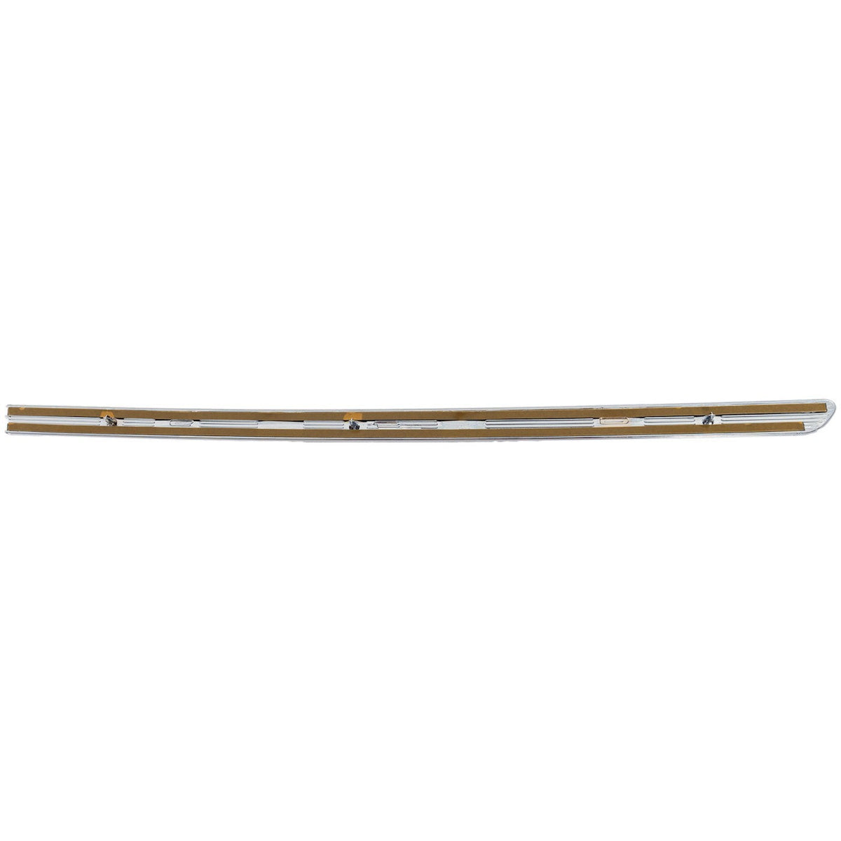 Rear Door Molding (Passenger Side) for Buick