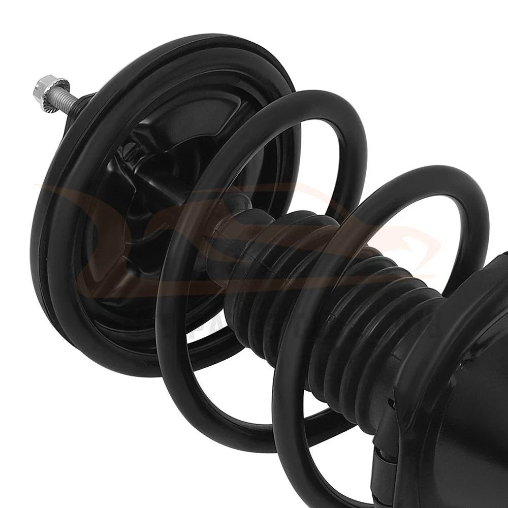 Front Strut and Shock Absorber Set for Mitsubishi Outlander 2007-2009