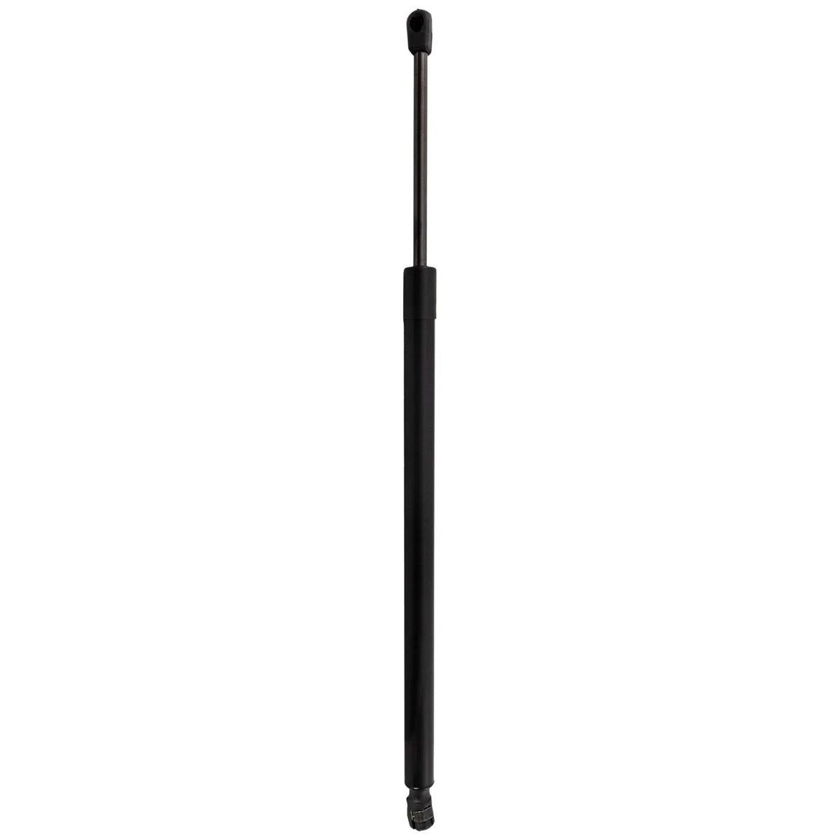 Lift Support for Tailgate - Lexus NX250 (2022 to 2023)