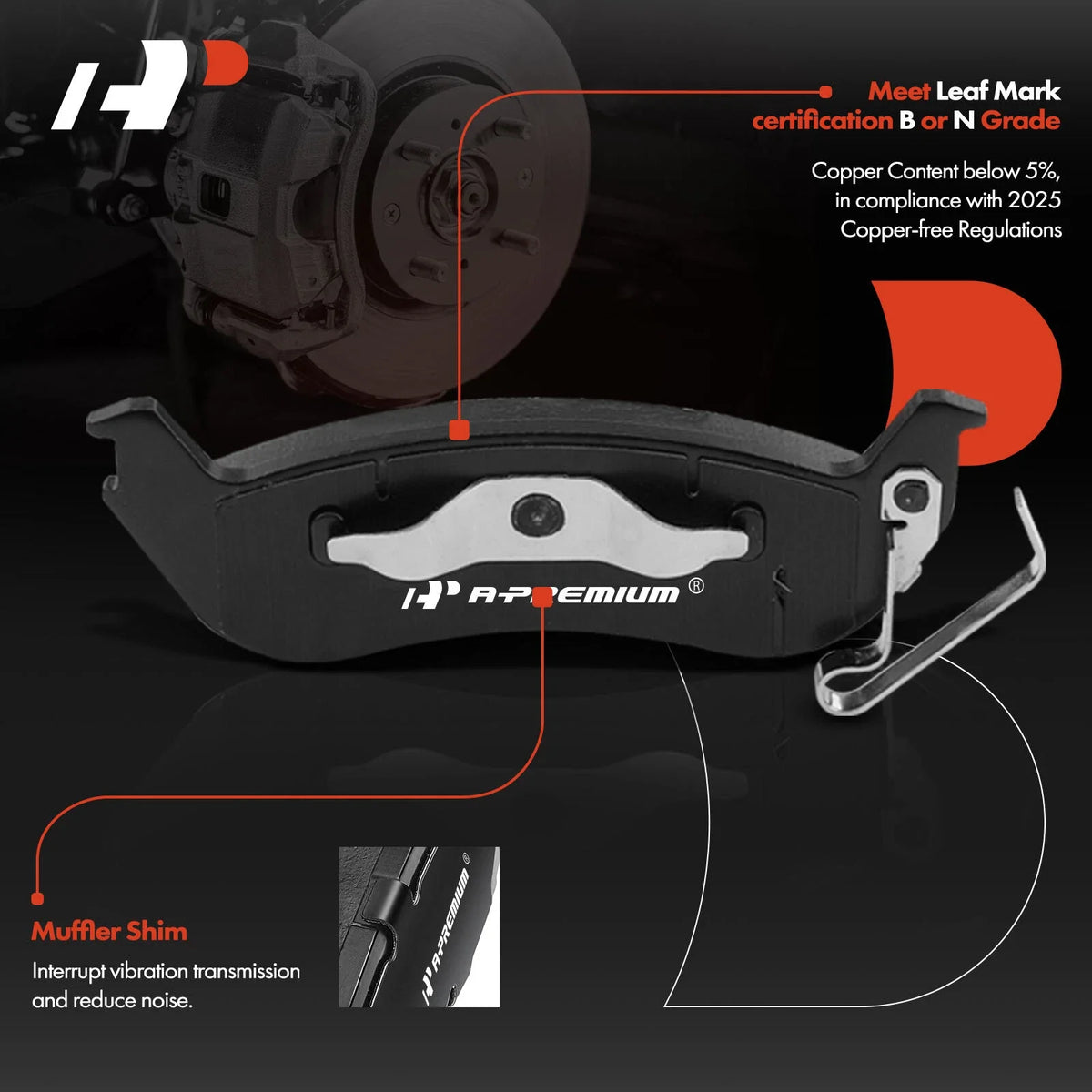 Rear Disc Brake Pads and Rotors for Ford Ranger