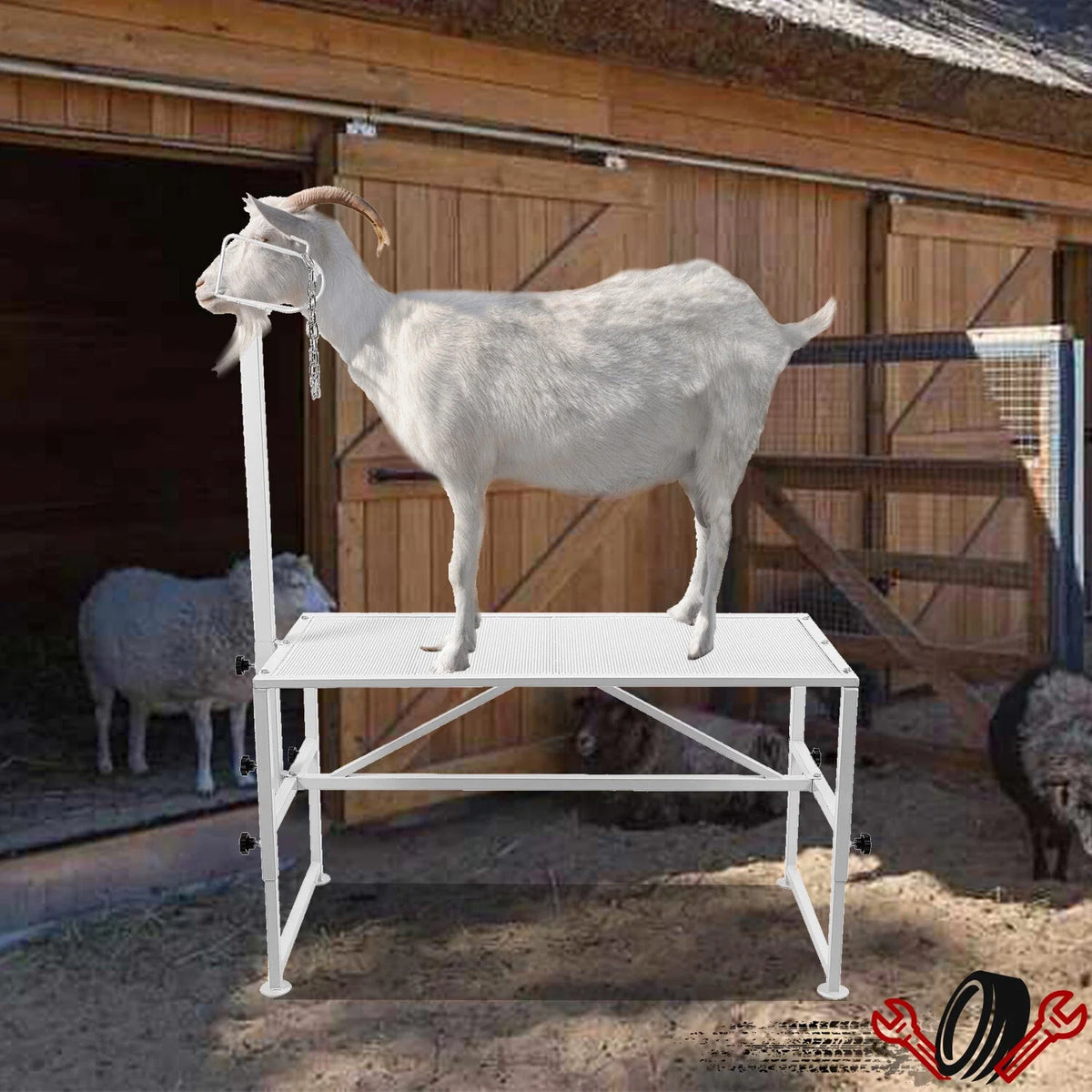 Adjustable Livestock Trimming Stand for Goat Sheep (51"x24")
