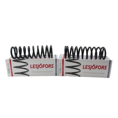 Front Coil Spring Set for Pontiac Buick Chevy Cadillac (4112124)