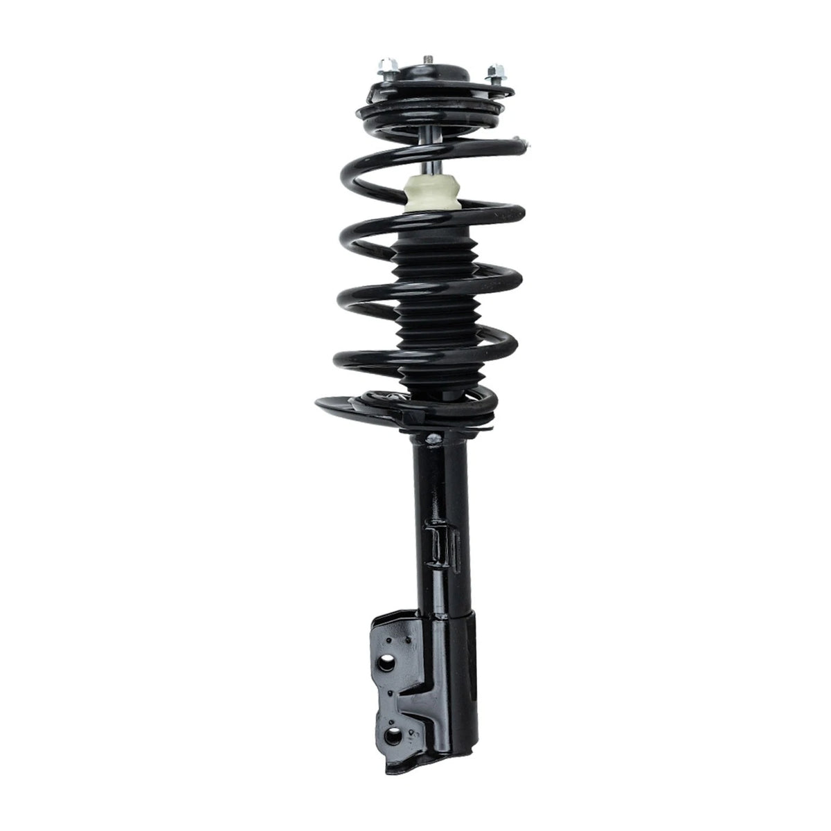 Strut Set of 2