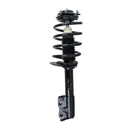 Strut Set of 2