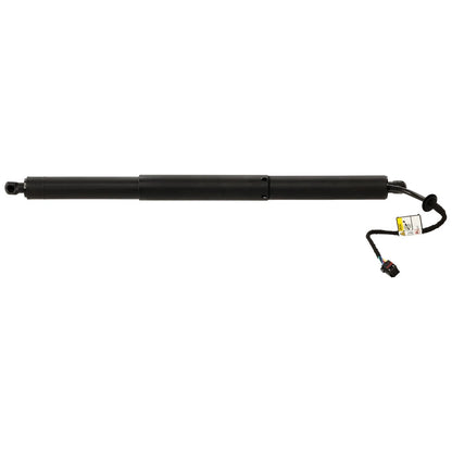 Set of 2 Liftgate Lift Supports for