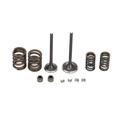 Valve Spring Seals for Yamaha Moto 4 Timberwolf YFM 250 (1985–1998)