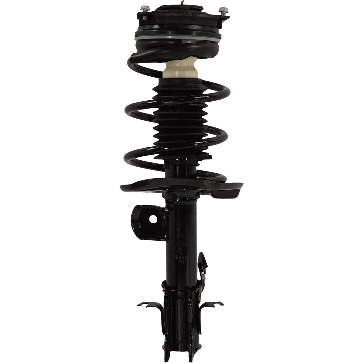 Strut Set of 2