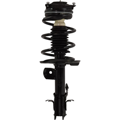 Strut Set of 2