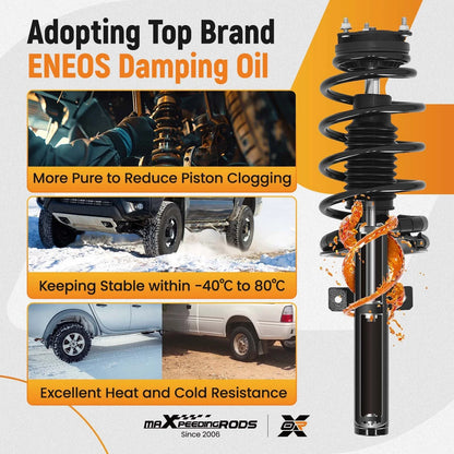2X Front Struts with Coil Springs for Ford Transit Connect (2010-2013)
