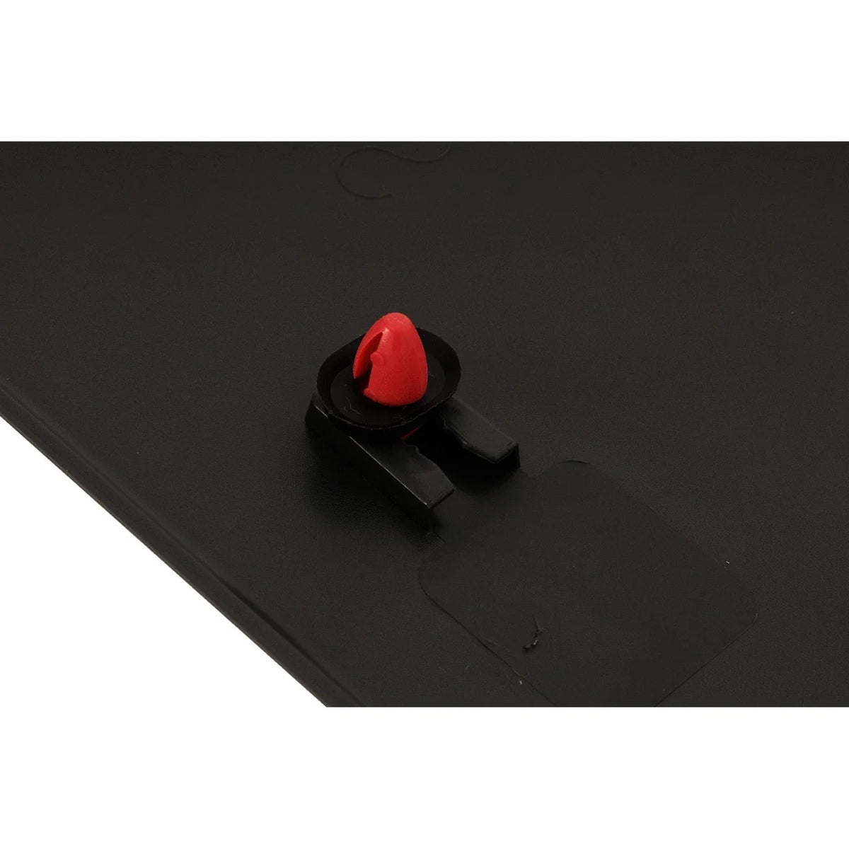 Rear Door Molding for Passenger Side (2010-2023) Ram