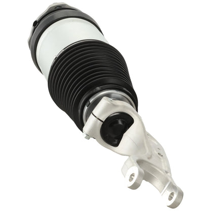 Air Strut for (102736100G)