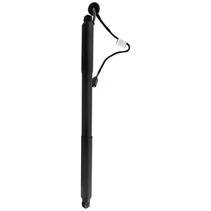 Liftgate Lift Support Driver Left Side for Volvo XC60 (2012–2017)