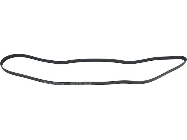 Multi Rib Belt for Mazda Tribute 2001–2004 (QM856BY)